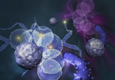 5-mitos-y-verdades-sobre-el-cancer